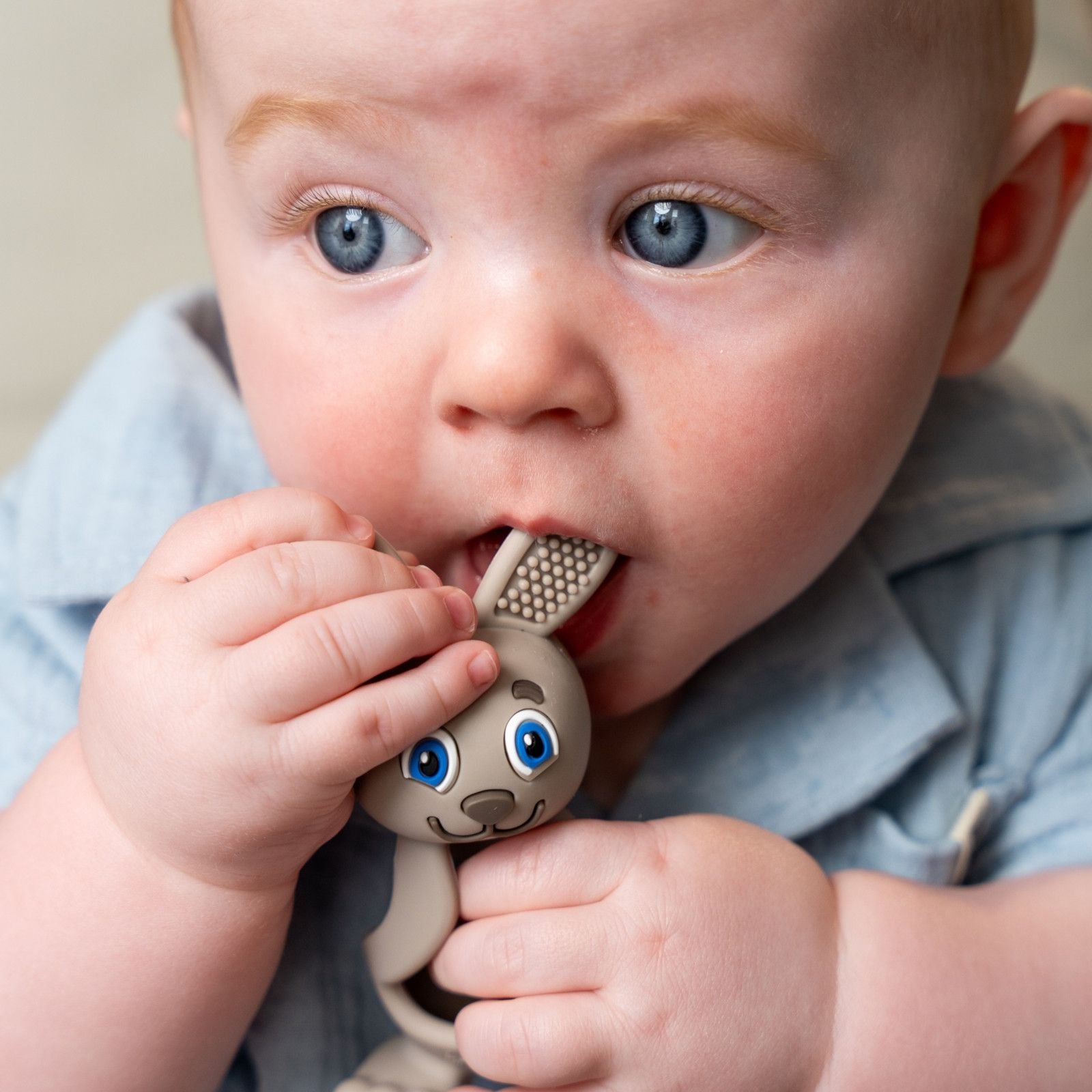 BRUSH-BABY Beissring Bobbie Bunny