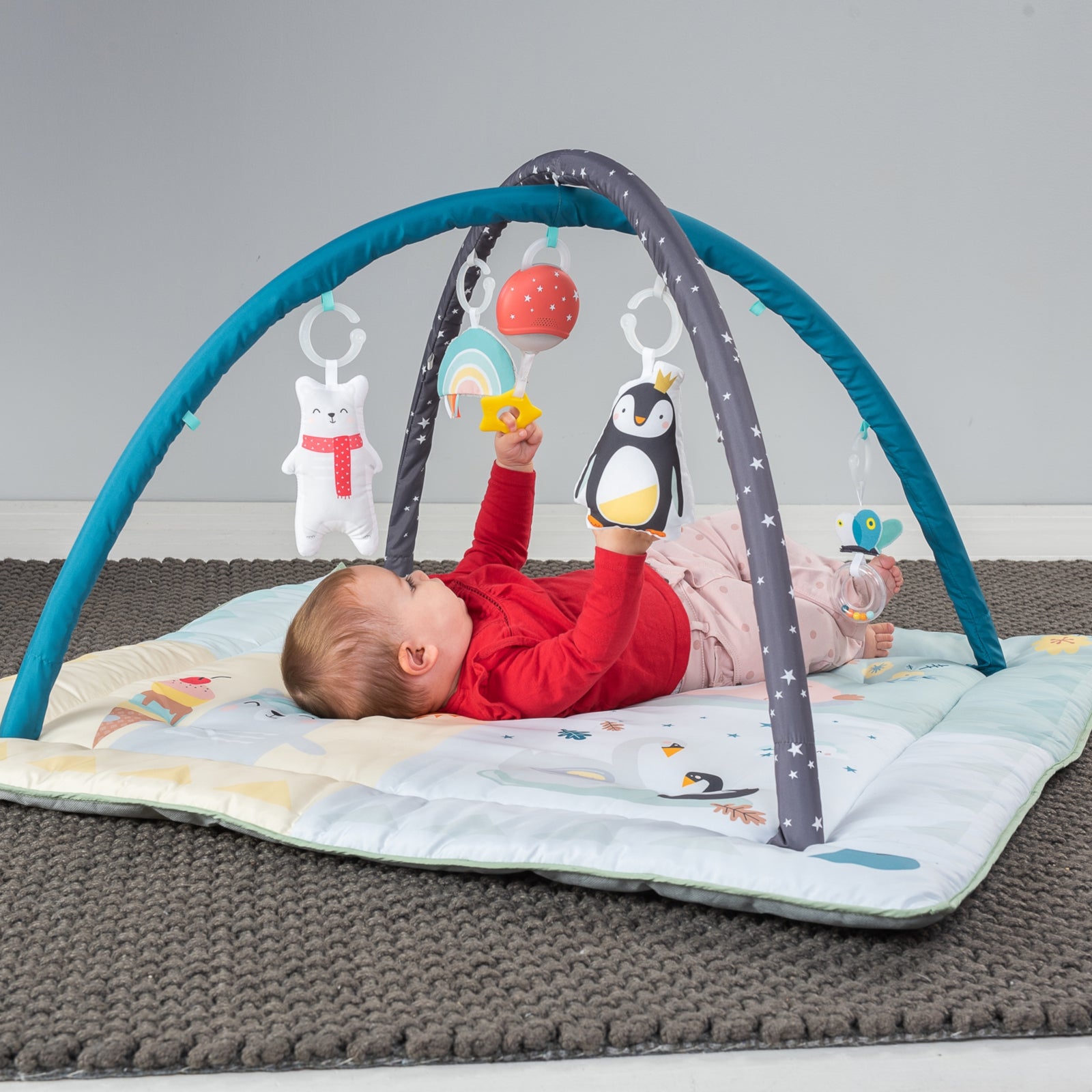 TAF TOYS Spielmatte Nordpol 4 Jahreszeiten *Sale*