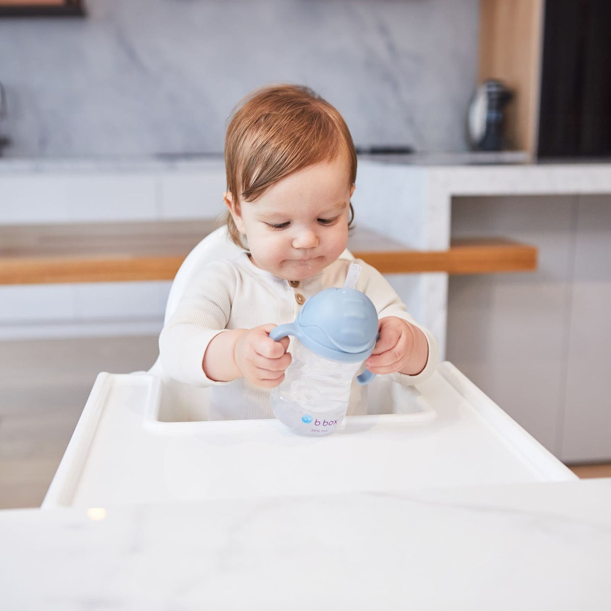 B.BOX Trinklernbecher Sippy Cup 240ml