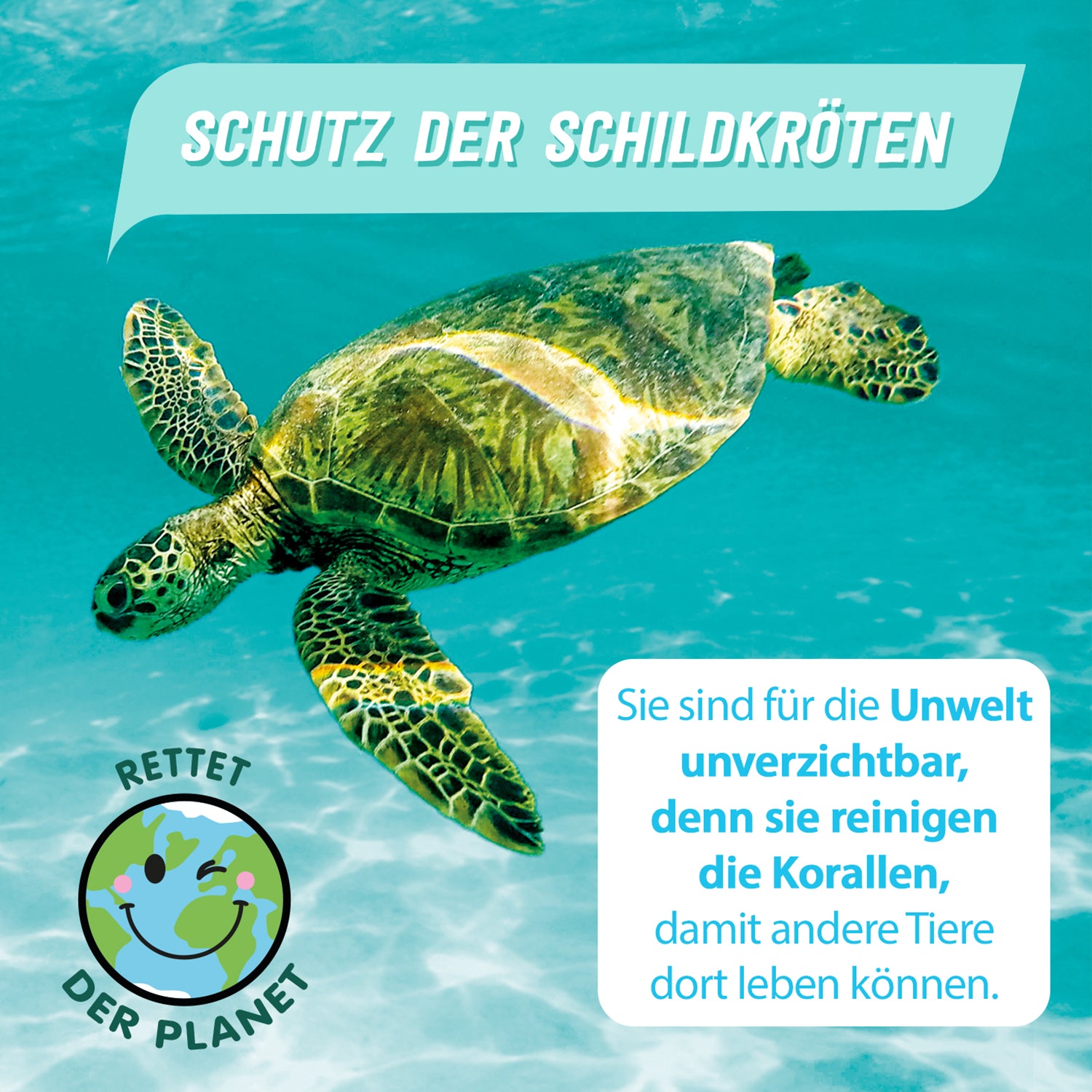 PAKA Airbrush Plush Nature - Green Turtle