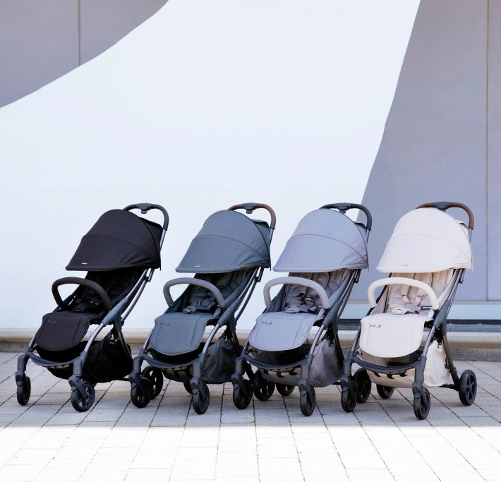Mast M.2 Buggy