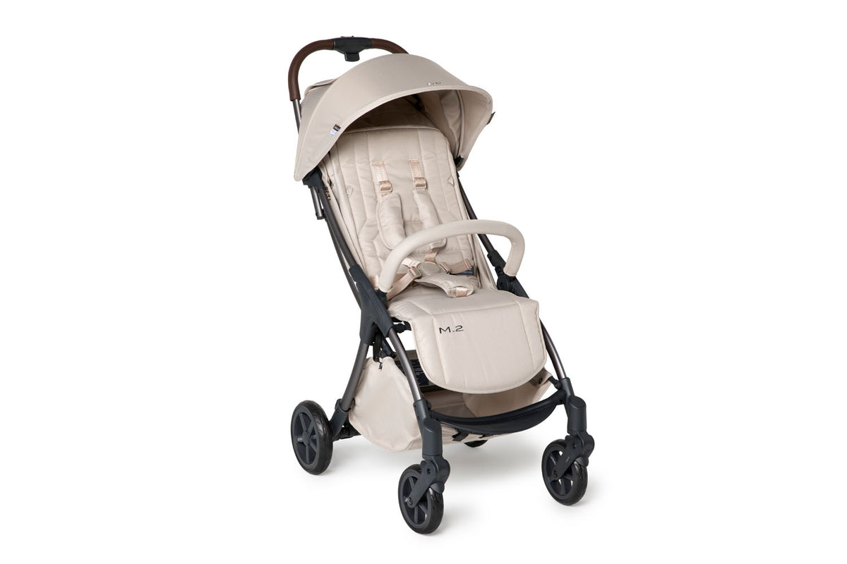 Mast M.2 Buggy