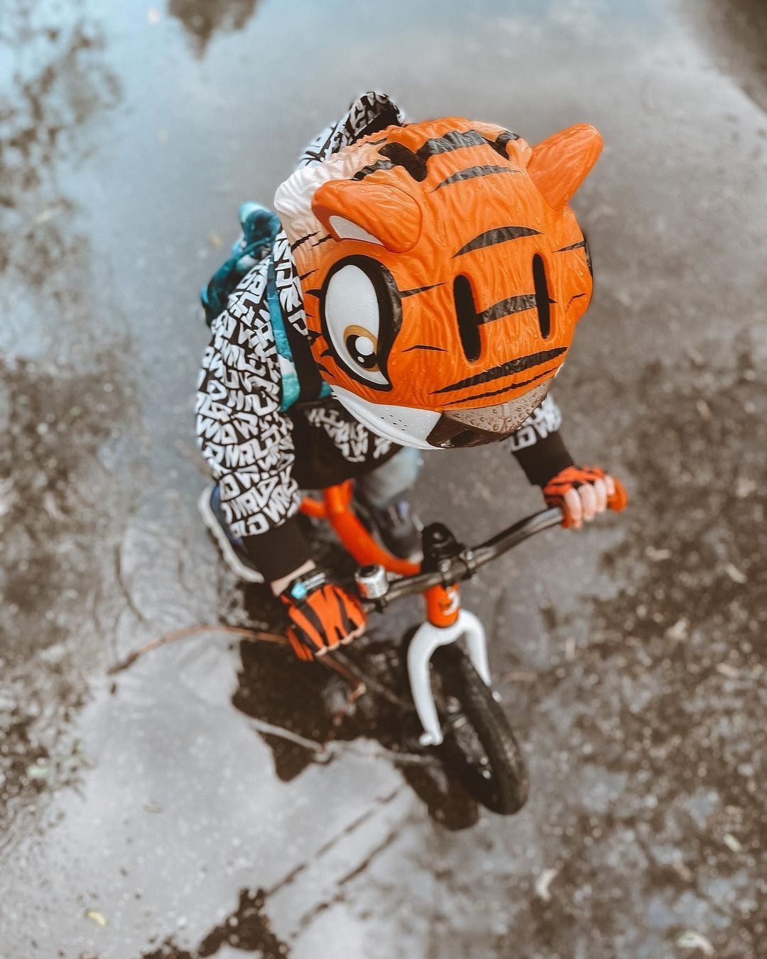 CRAZY SAFETY Velohelm Tiger