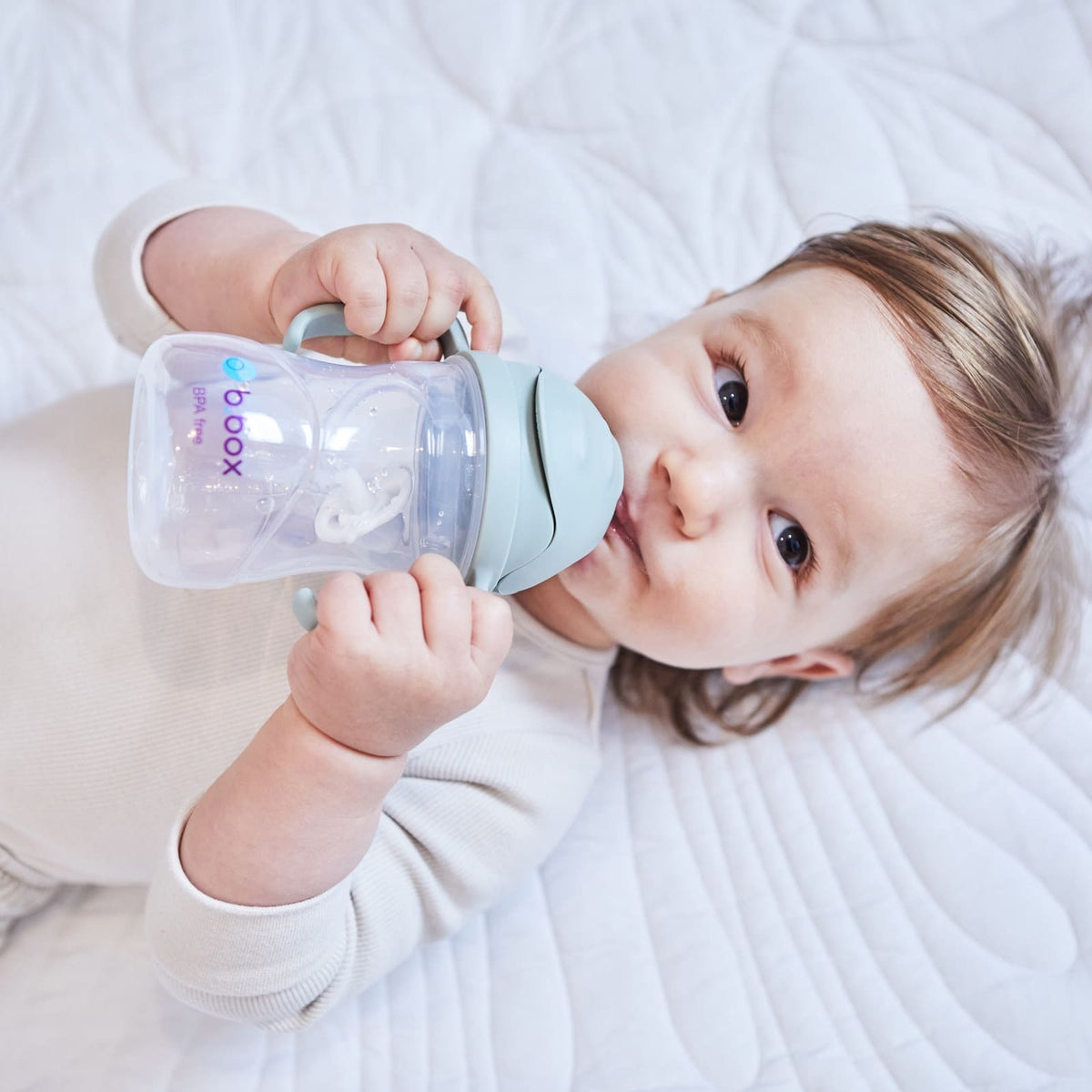 B.BOX Trinklernbecher Sippy Cup 240ml