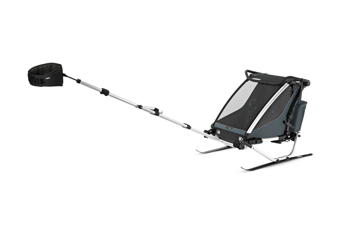 Thule Chariot Fahrradanhänger Cross 2 double alu/dark slate