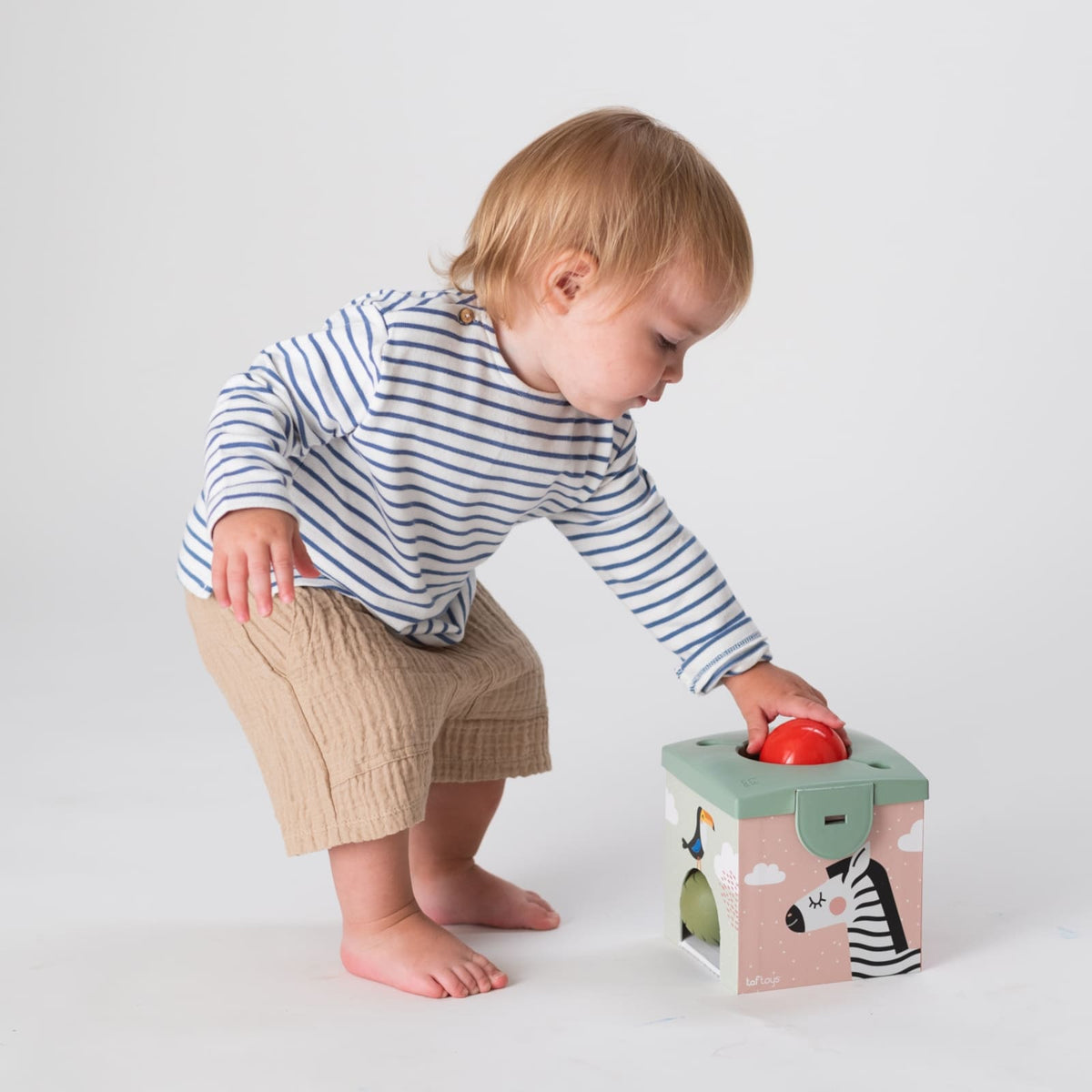 TAF TOYS Magic Box