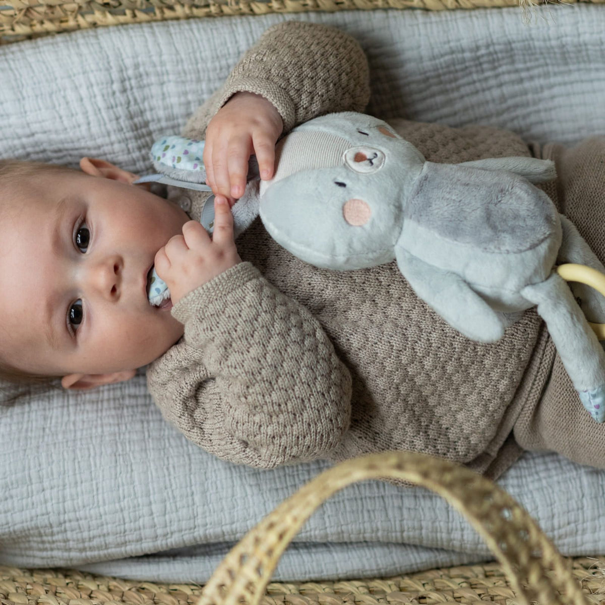 TAF TOYS Spieluhr Rylee der Hase