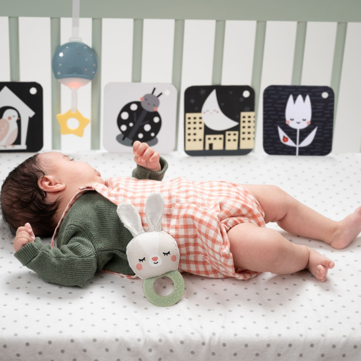 TAF TOYS Geschenkset Hello Baby