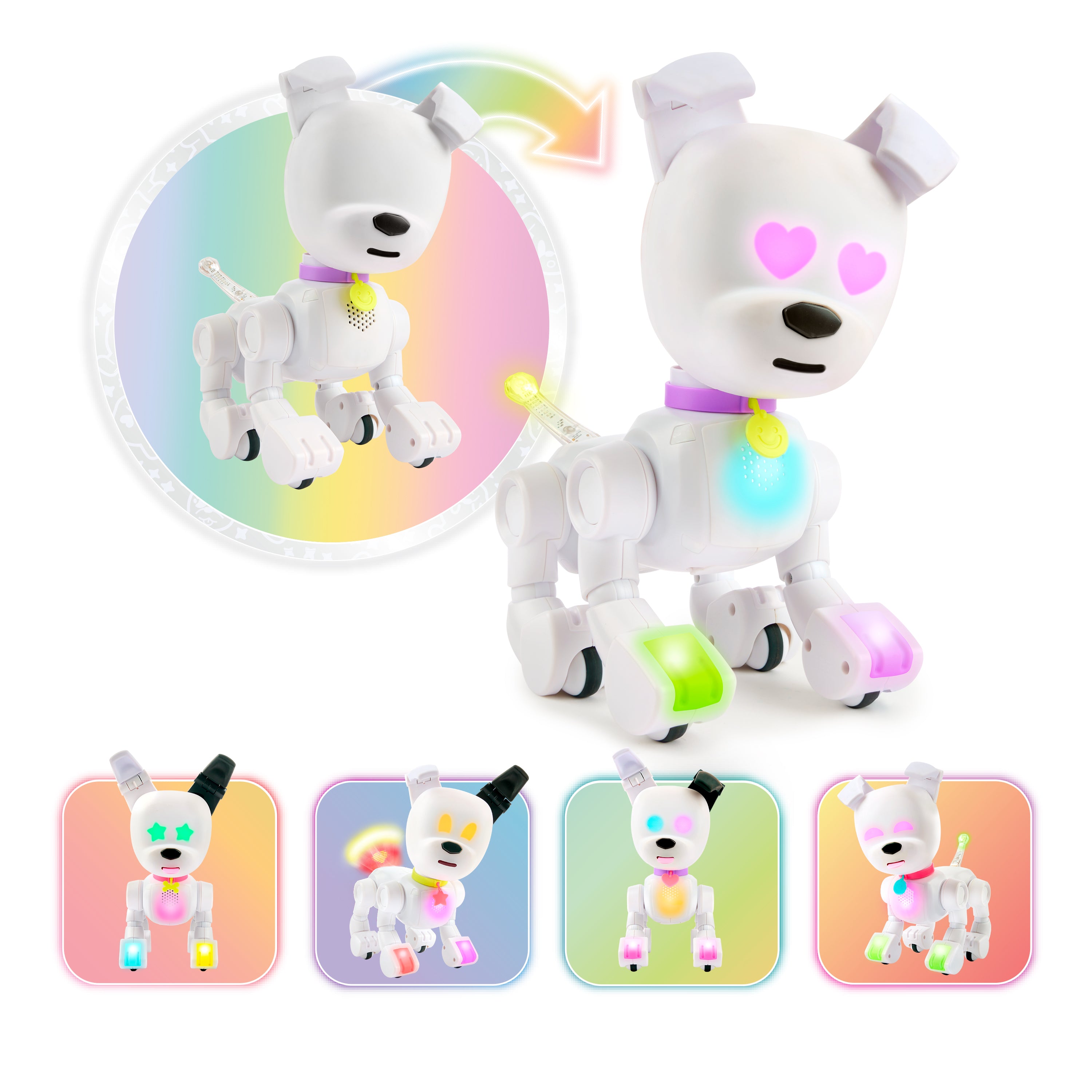 PAKA MINTiD Dog-E