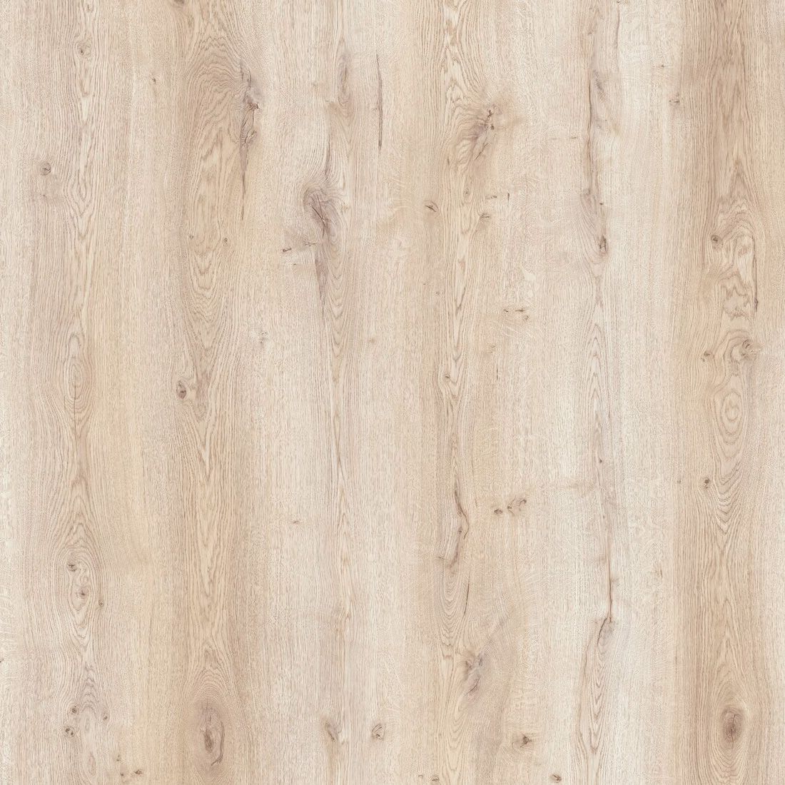 Berndt Bente Schreibtisch