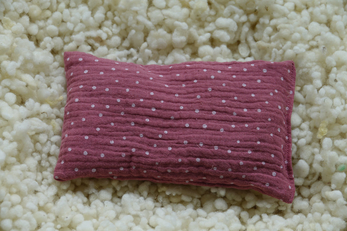 Wollreich Erdbeerkernkissen