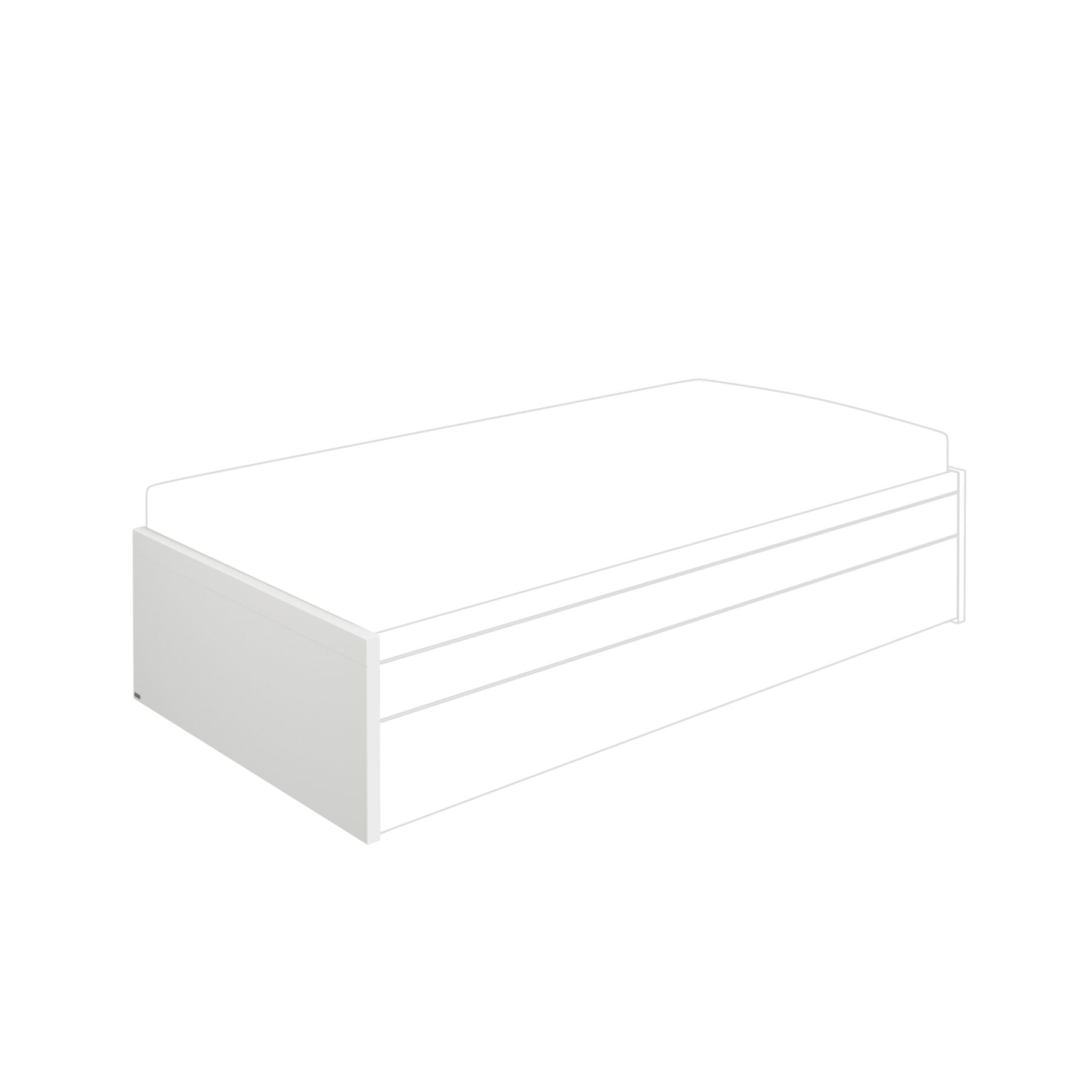 PAIDI Flynn Betthaupt