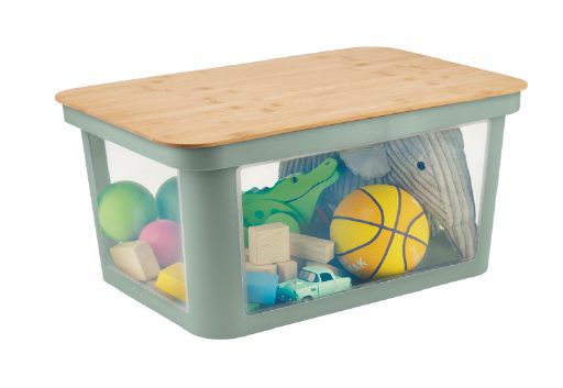 Rotho Box Pina