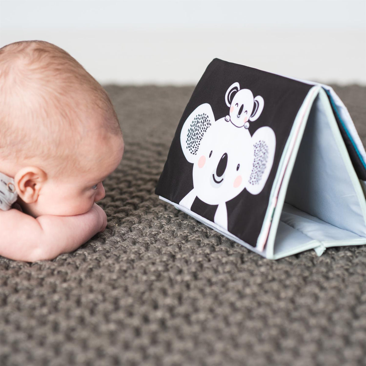 TAF TOYS Babybuch Koala