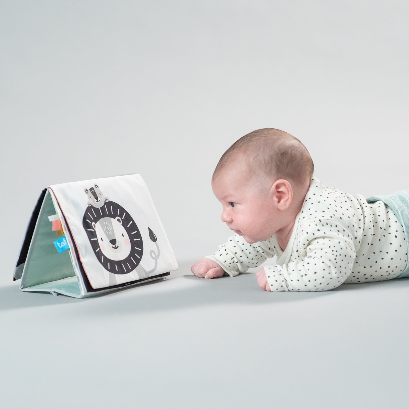 TAF TOYS Babybuch Savannah