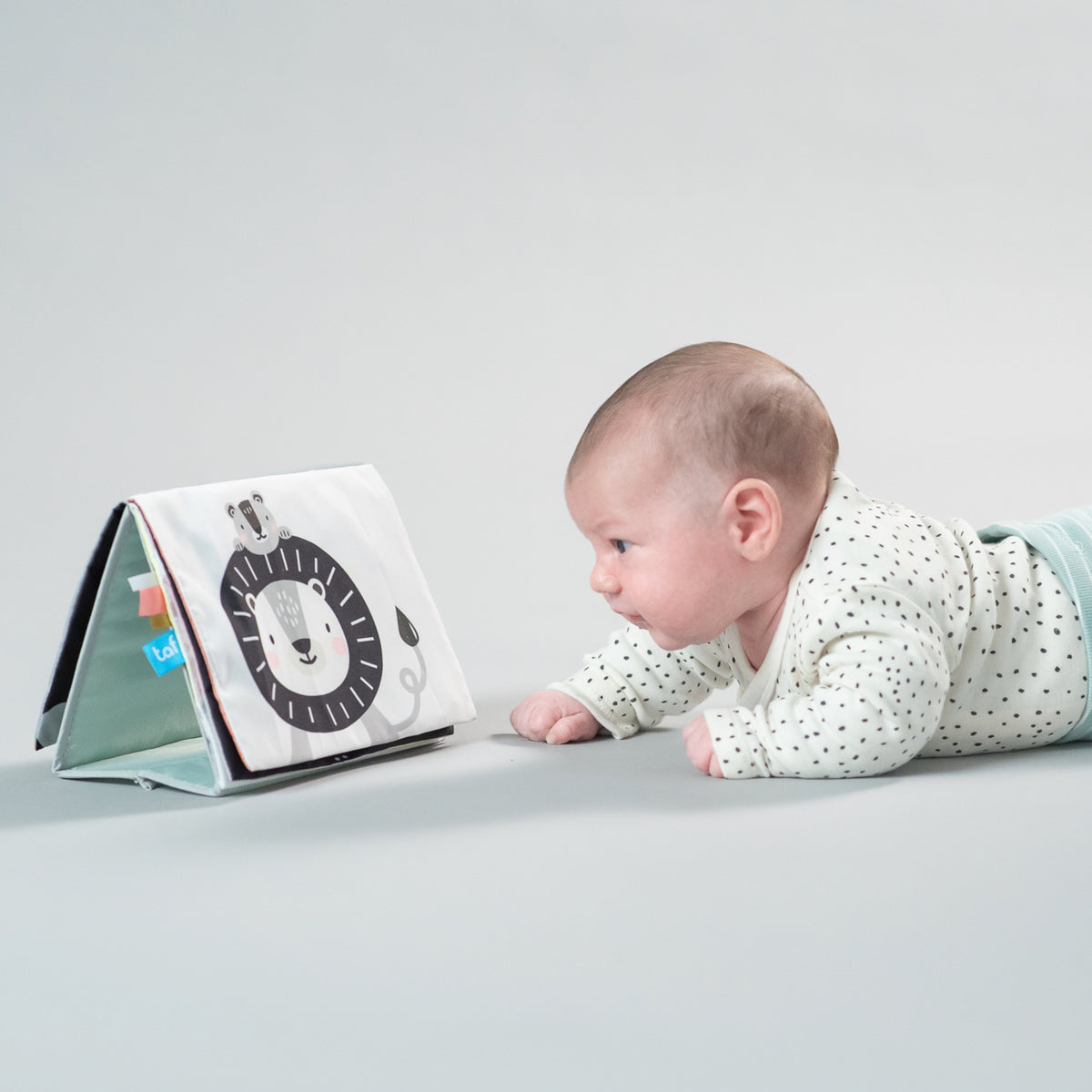 TAF TOYS Babybuch Savannah