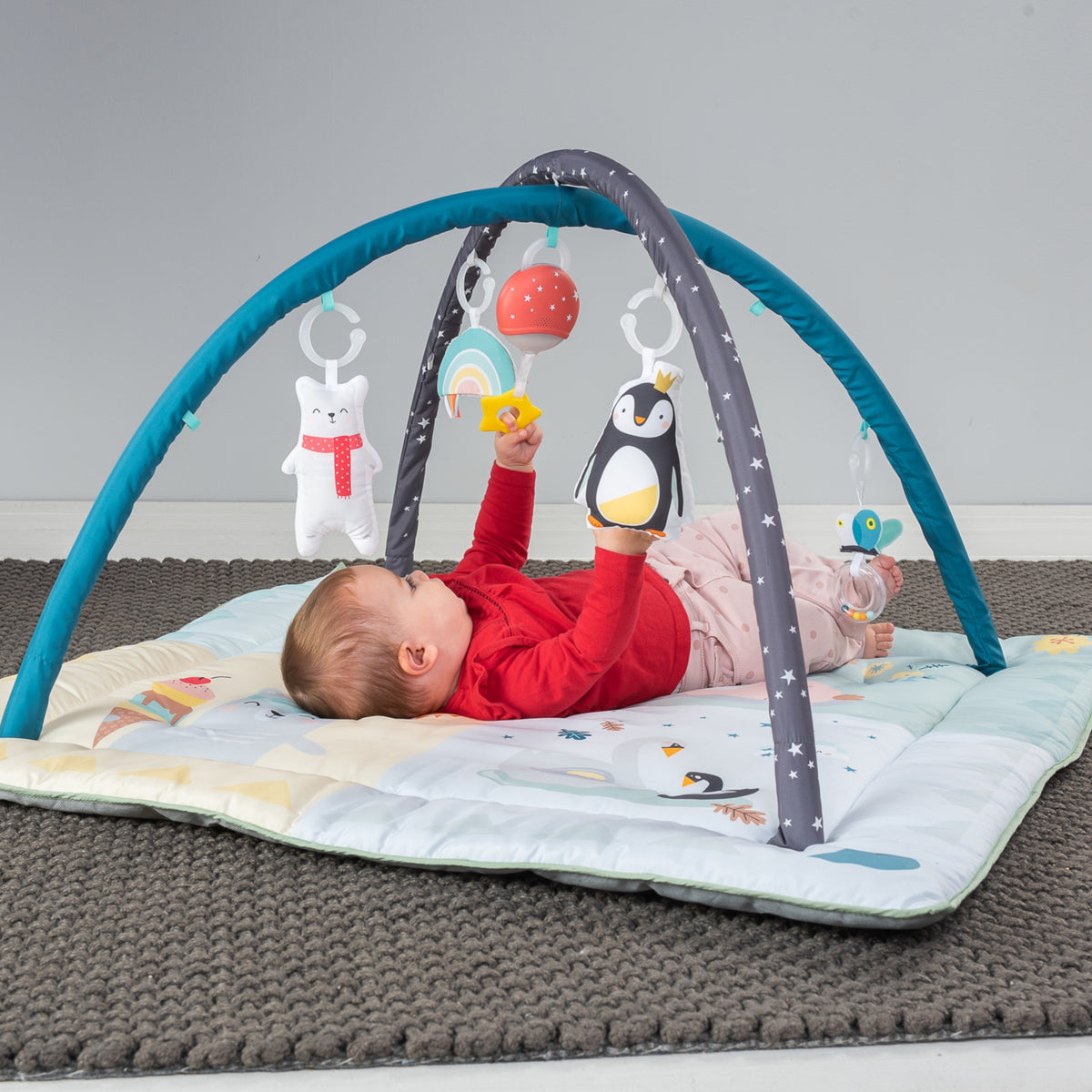 TAF TOYS Spielmatte Nordpol 4 Jahreszeiten *Sale*