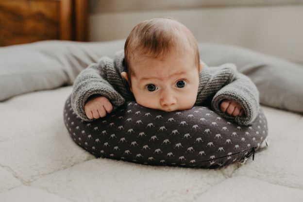 Wollreich Lagerungsring