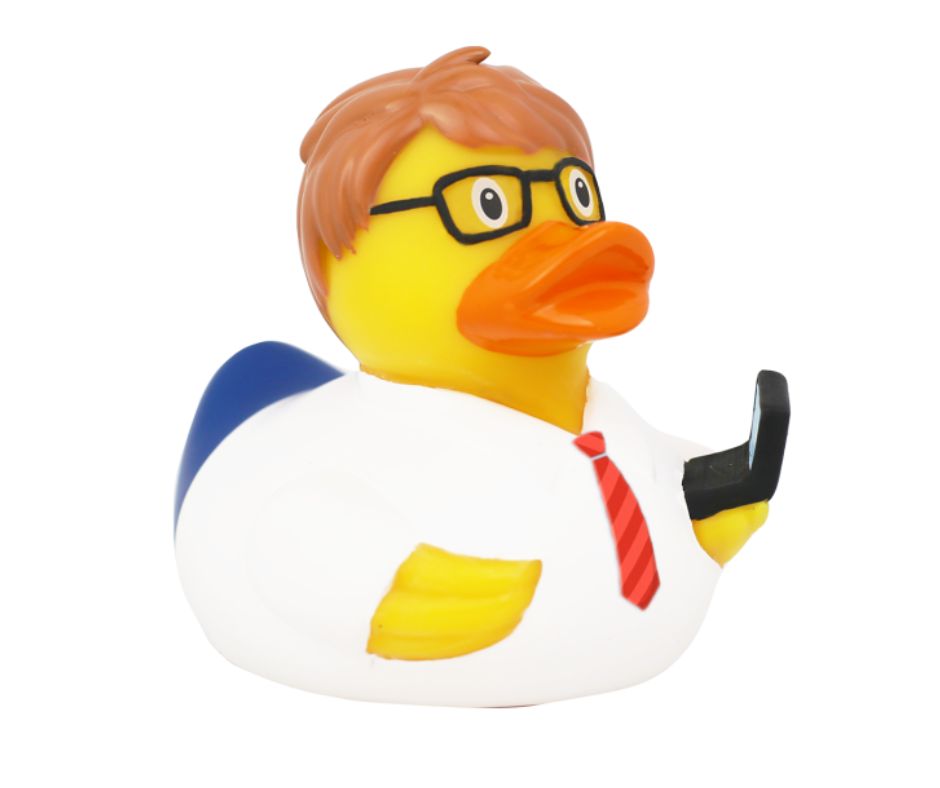 Lilalu IT Entwickler Ente