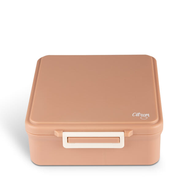 Citron Grand Lunchboxes