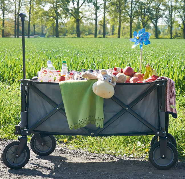 Pinolino Klappbollerwagen Porti