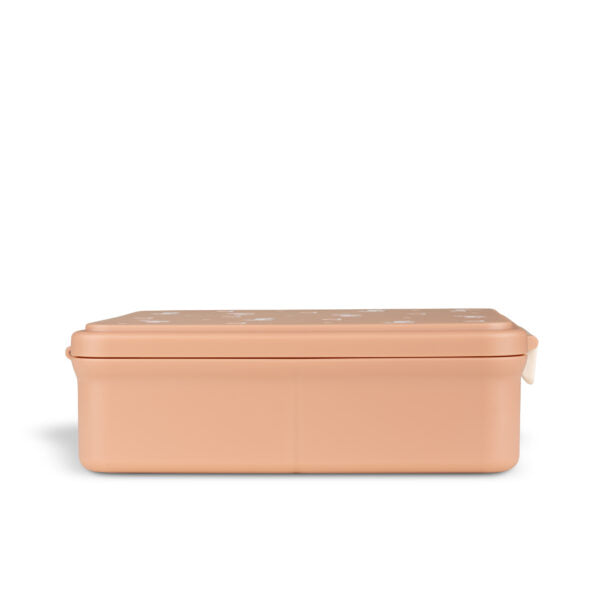 Citron Grand Lunchboxes