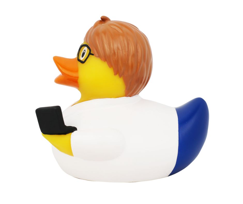 Lilalu IT Entwickler Ente