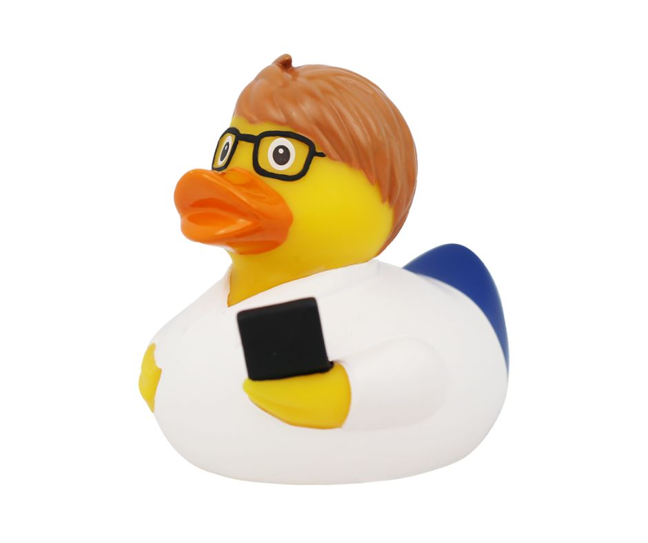 Lilalu IT Entwickler Ente
