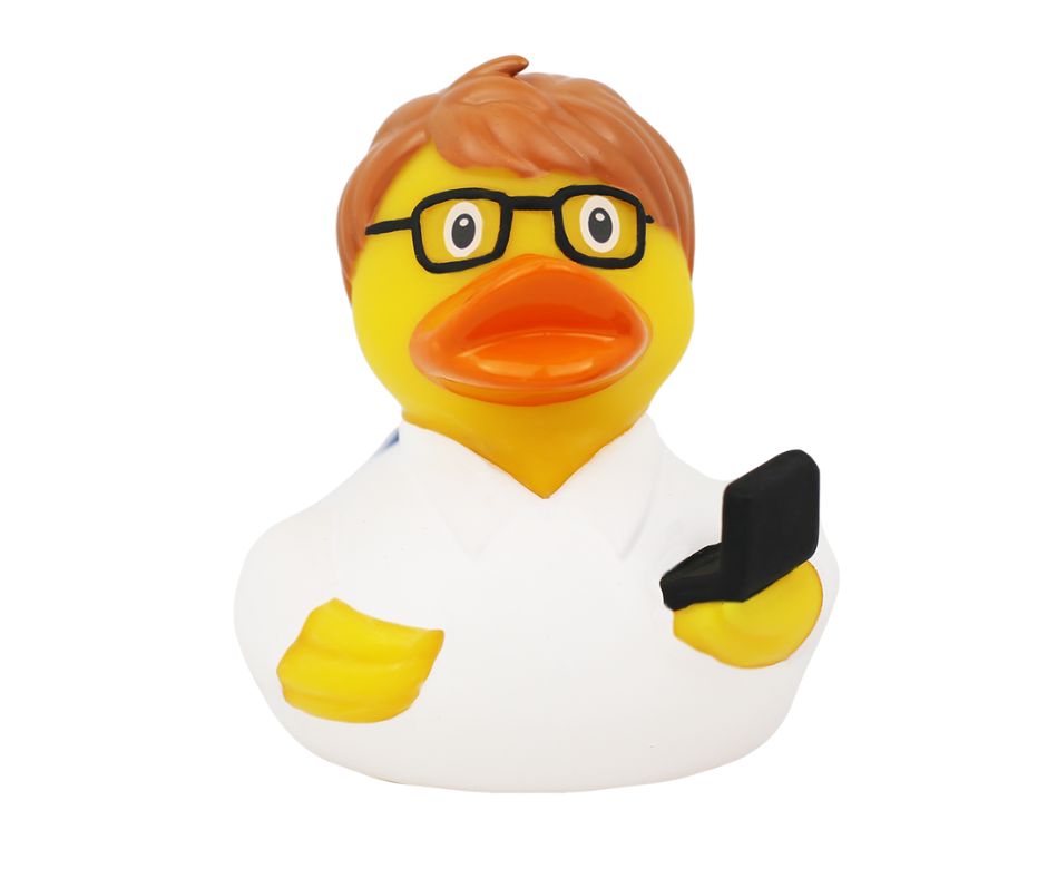 Lilalu IT Entwickler Ente