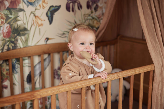 Jollein Beissring Naturkautschuk Teddy Bear Biscuit