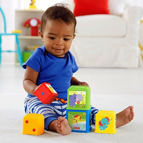 Fisher Price Entdecker- und Stapelwürfel