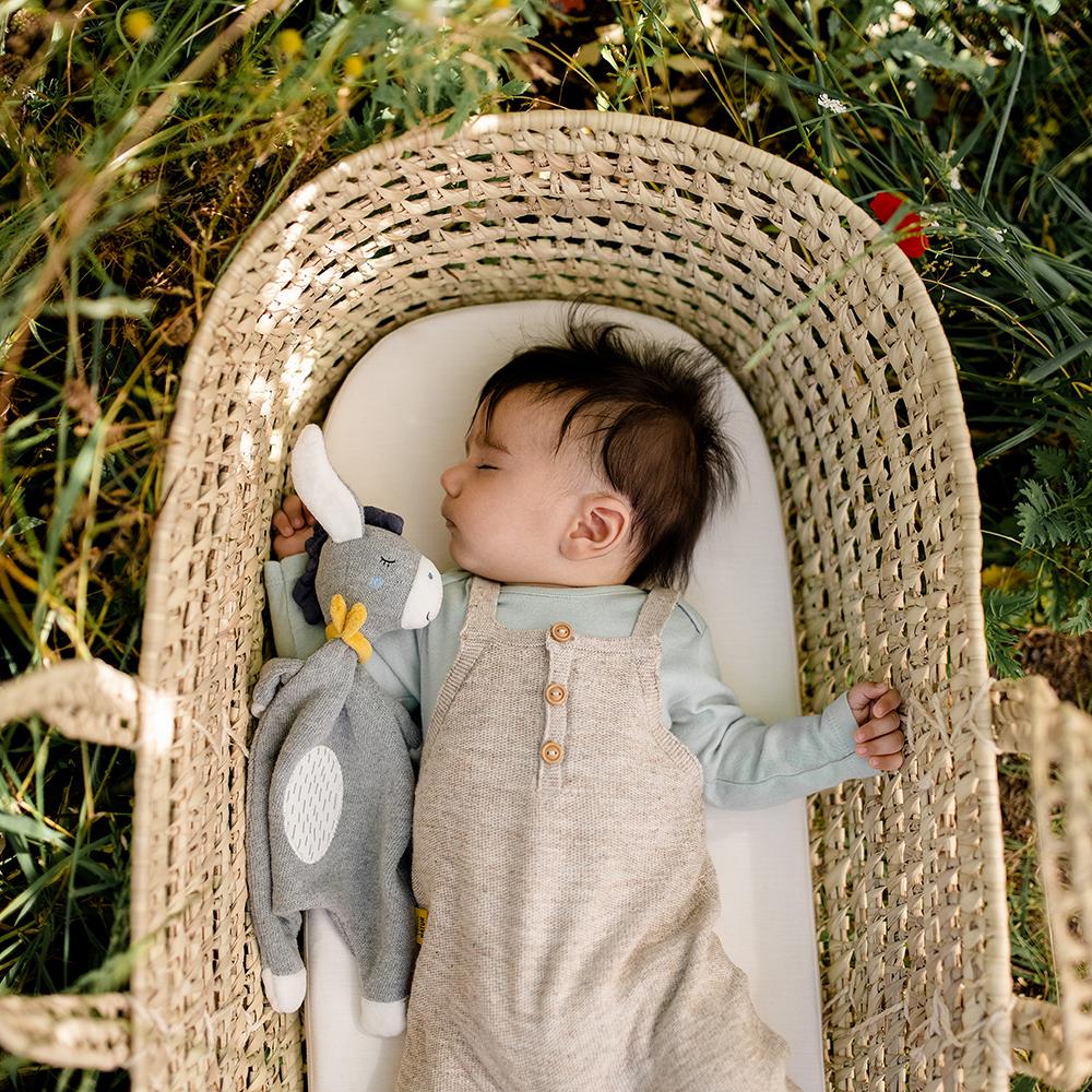 Fehn Schmusetuch Esel Natur