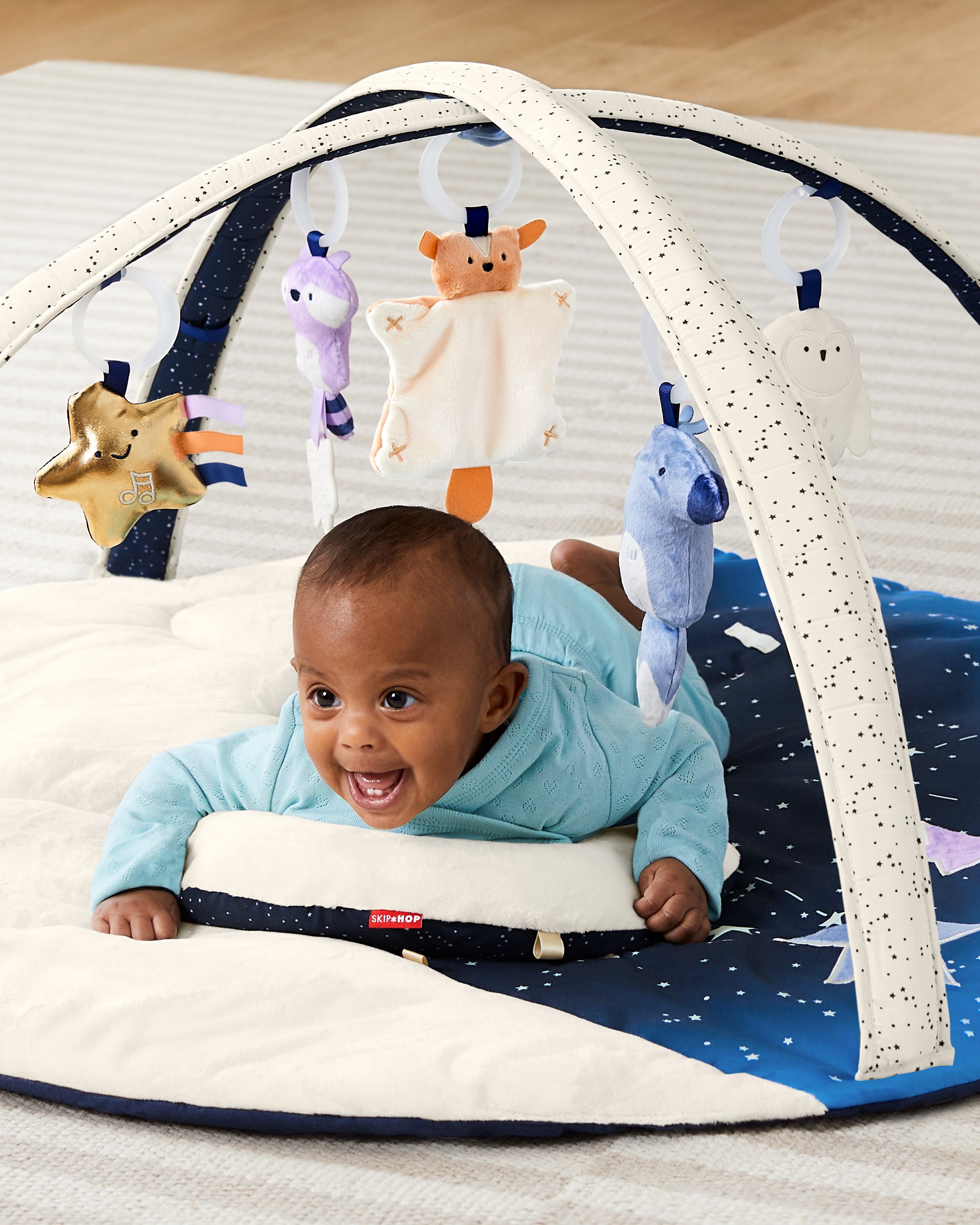 Skip Hop Celestial Dreams Activity Gym