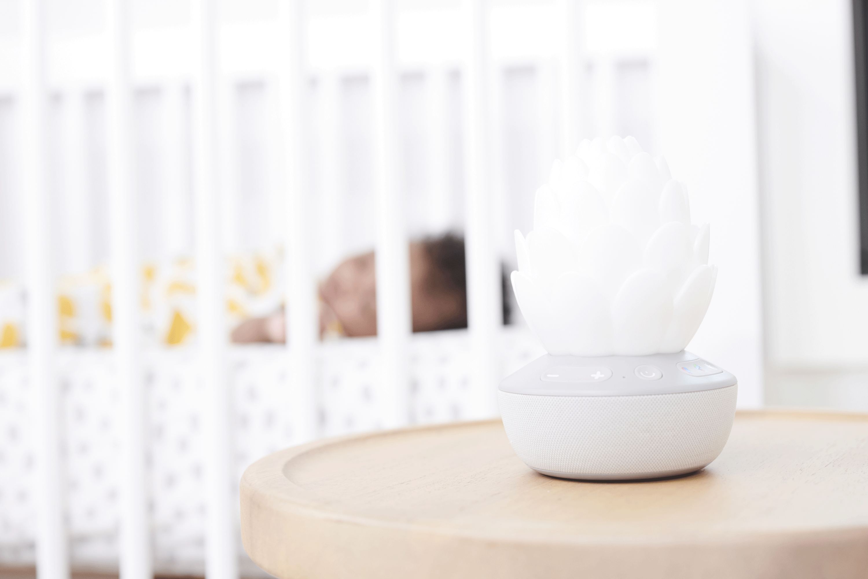 Skip Hop Succulent Soother - Einschlafhilfe / Nachtlicht