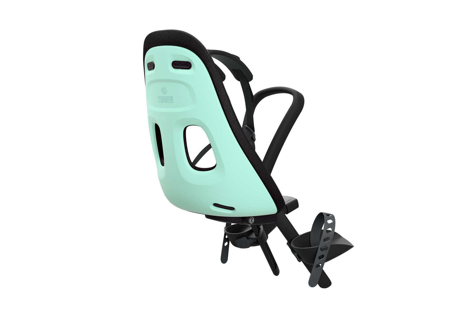 Thule yepp nexxt maxi best sale mint