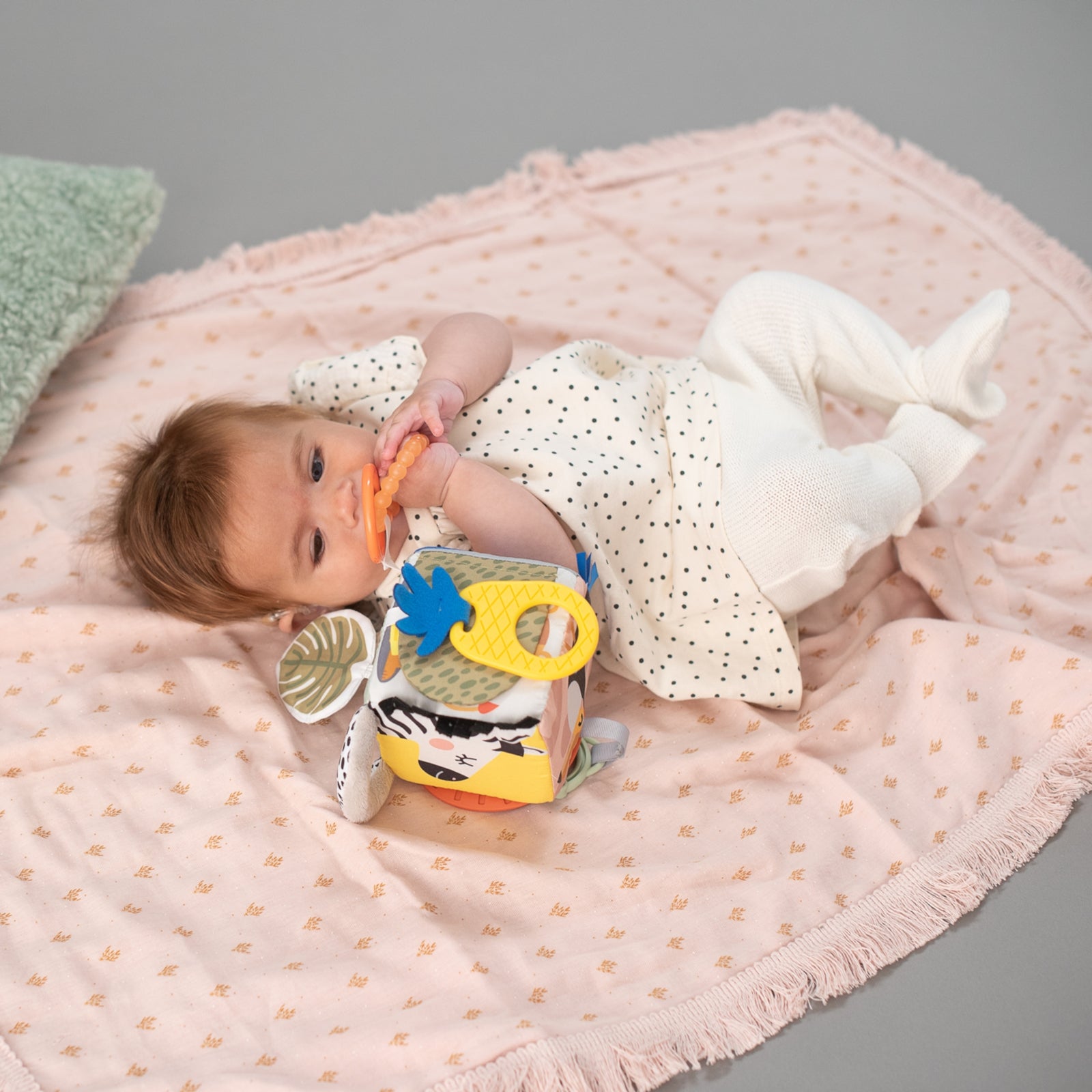 TAF TOYS Aktivitätenwürfel Savannah