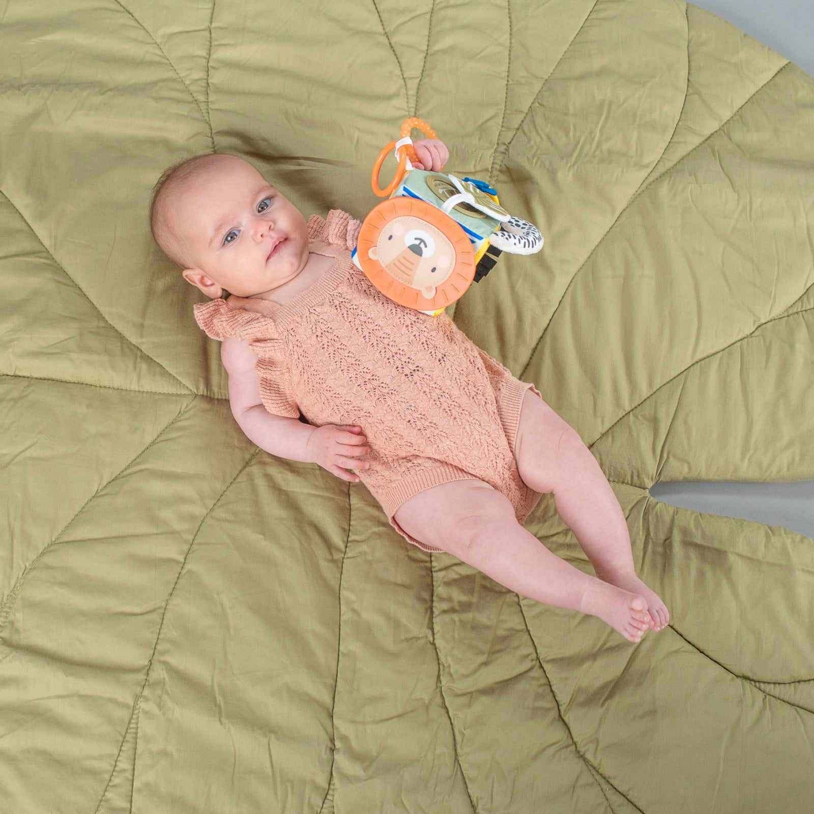 TAF TOYS Aktivitätenwürfel Savannah