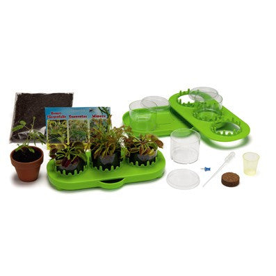 Kosmos Fleischfressende Pflanzen