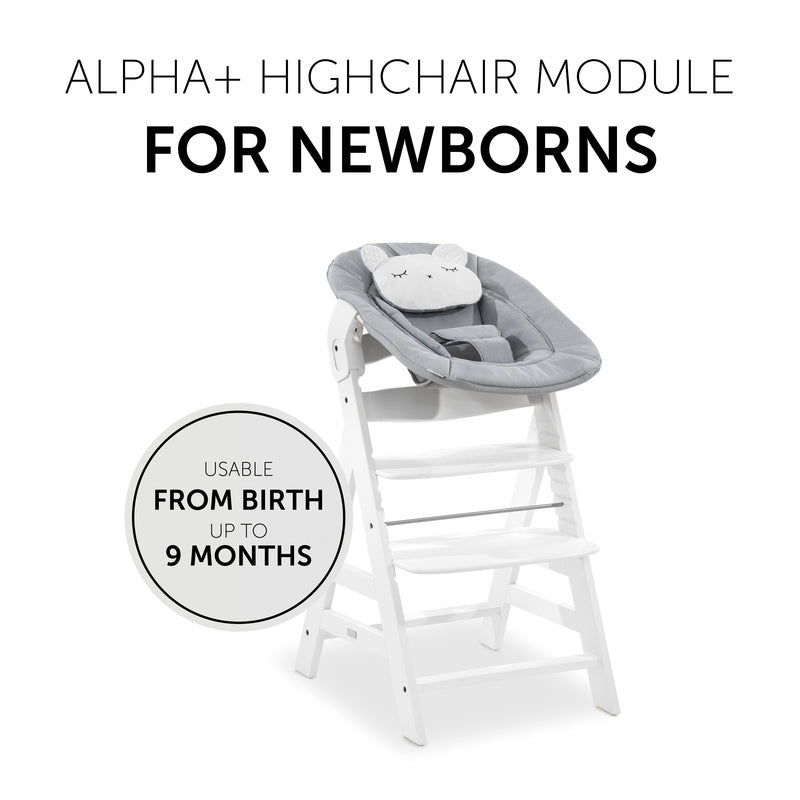 Hauck Alpha Bouncer 2 in 1 Patell Bear light grey
