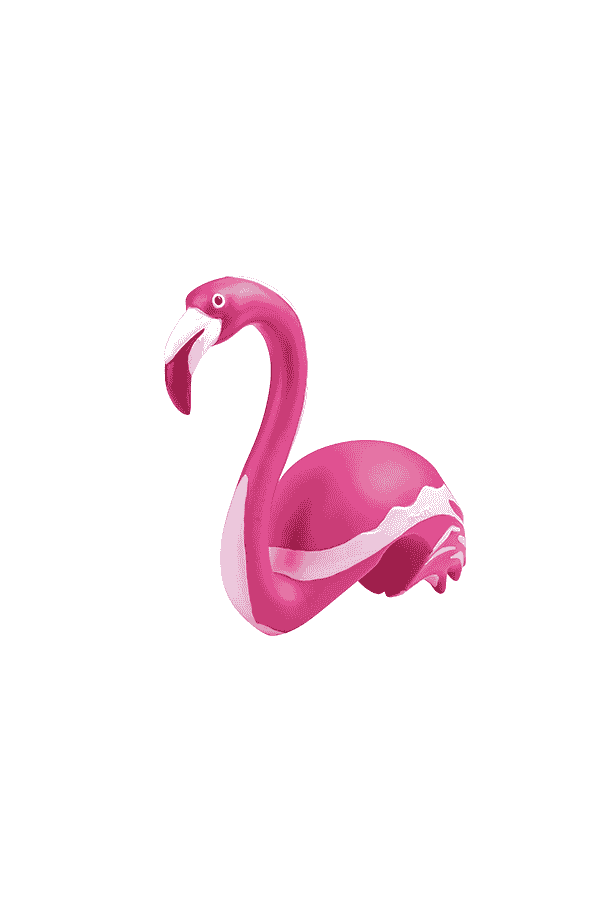 Micro Scooter Buddy Flamingo