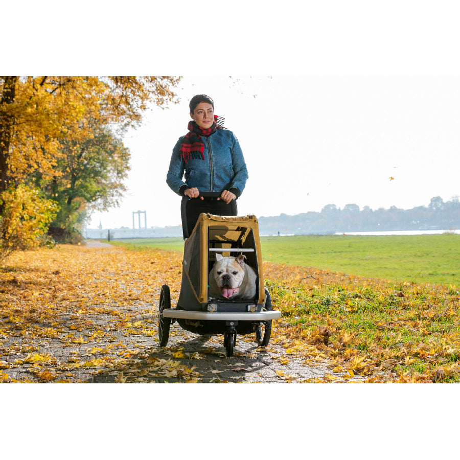 Croozer Hundefahrradanhänger Dog Peppa (L) Pineapple yellow