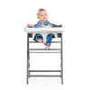 Hauck Alpha Tray