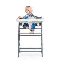 Hauck Alpha Tray
