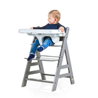 Hauck Alpha Tray