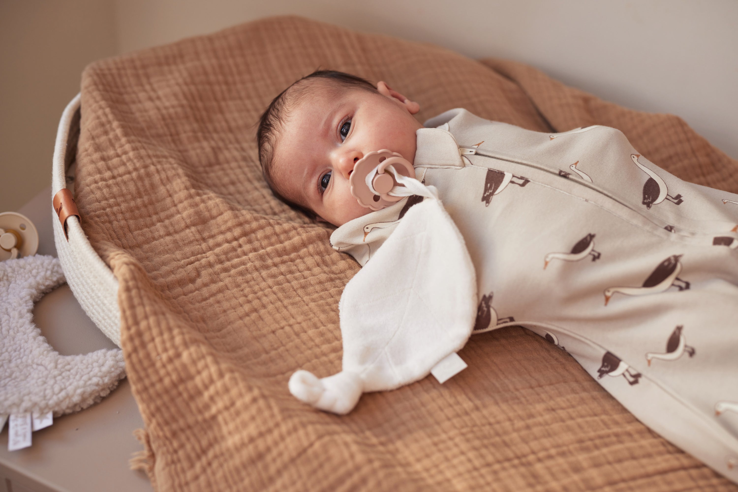 Jollein Schlafsack Cocoon 0-3 Monate Goose Nougat