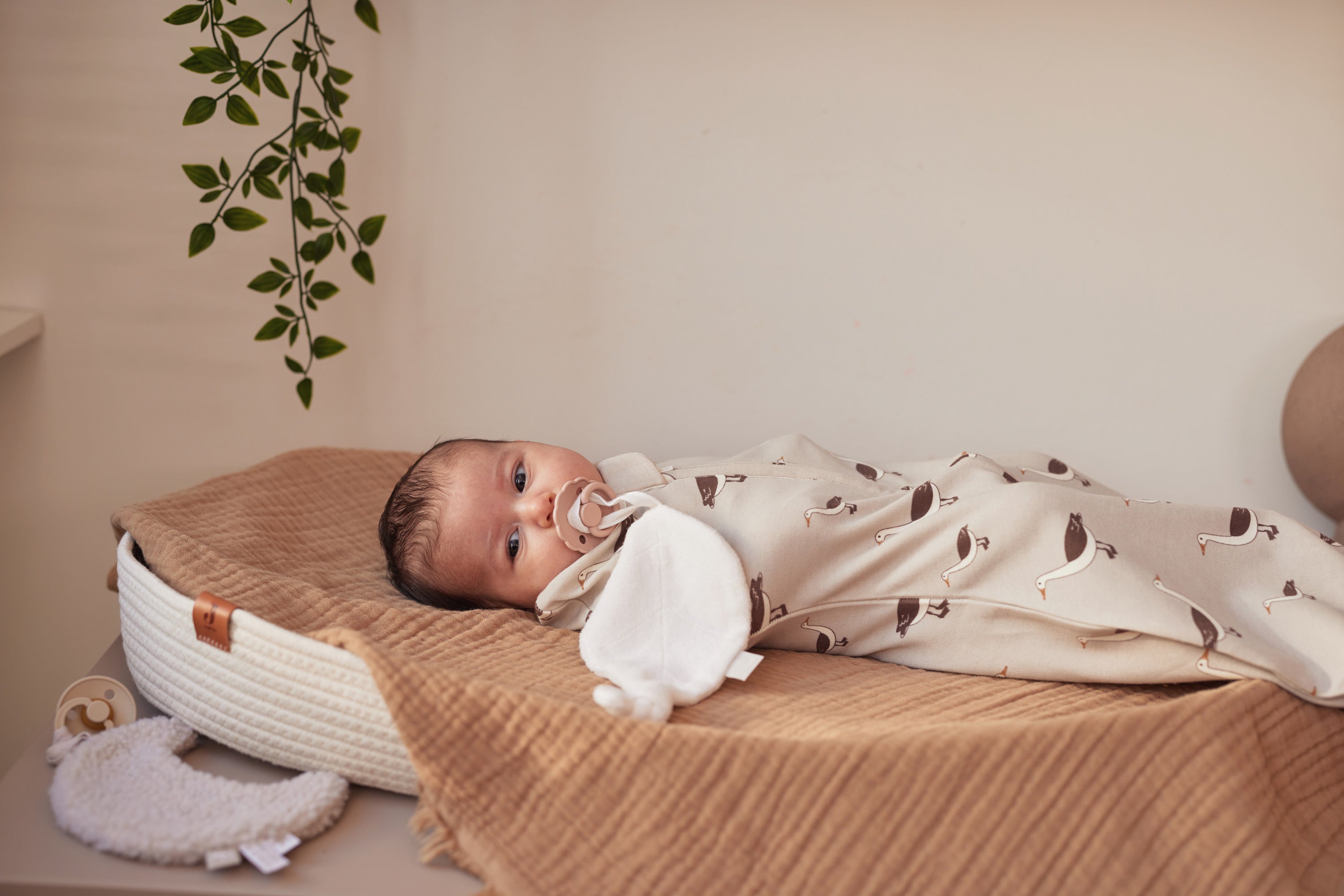 Jollein Schlafsack Cocoon 0-3 Monate Goose Nougat