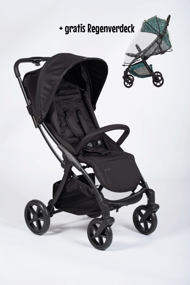 Mast M2.x Buggy Onyx