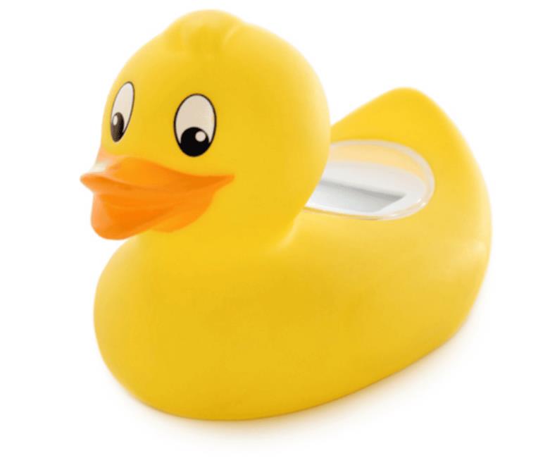 Rotho Thermometer digital