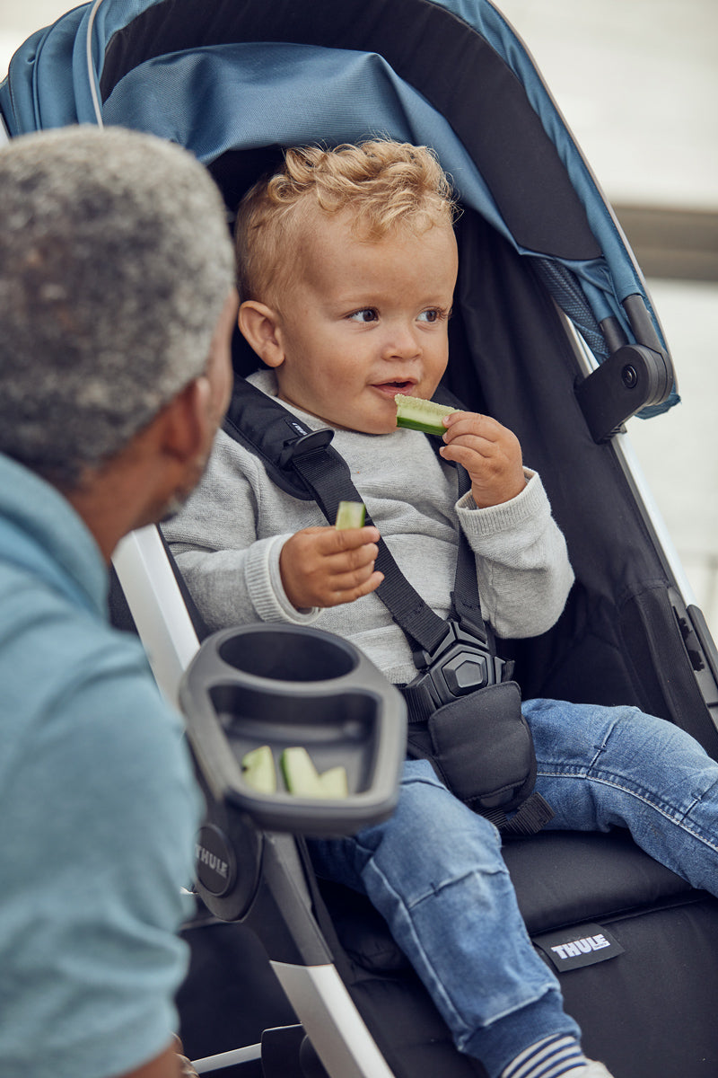 Thule Spring Snack Tray Black